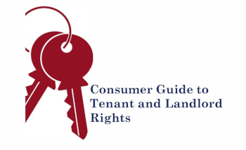 Consumer Guide cover graphic