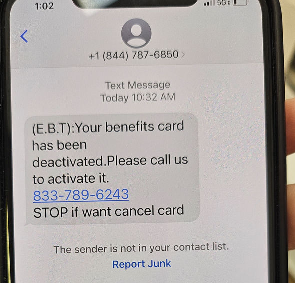 EBT Scam - Example Image