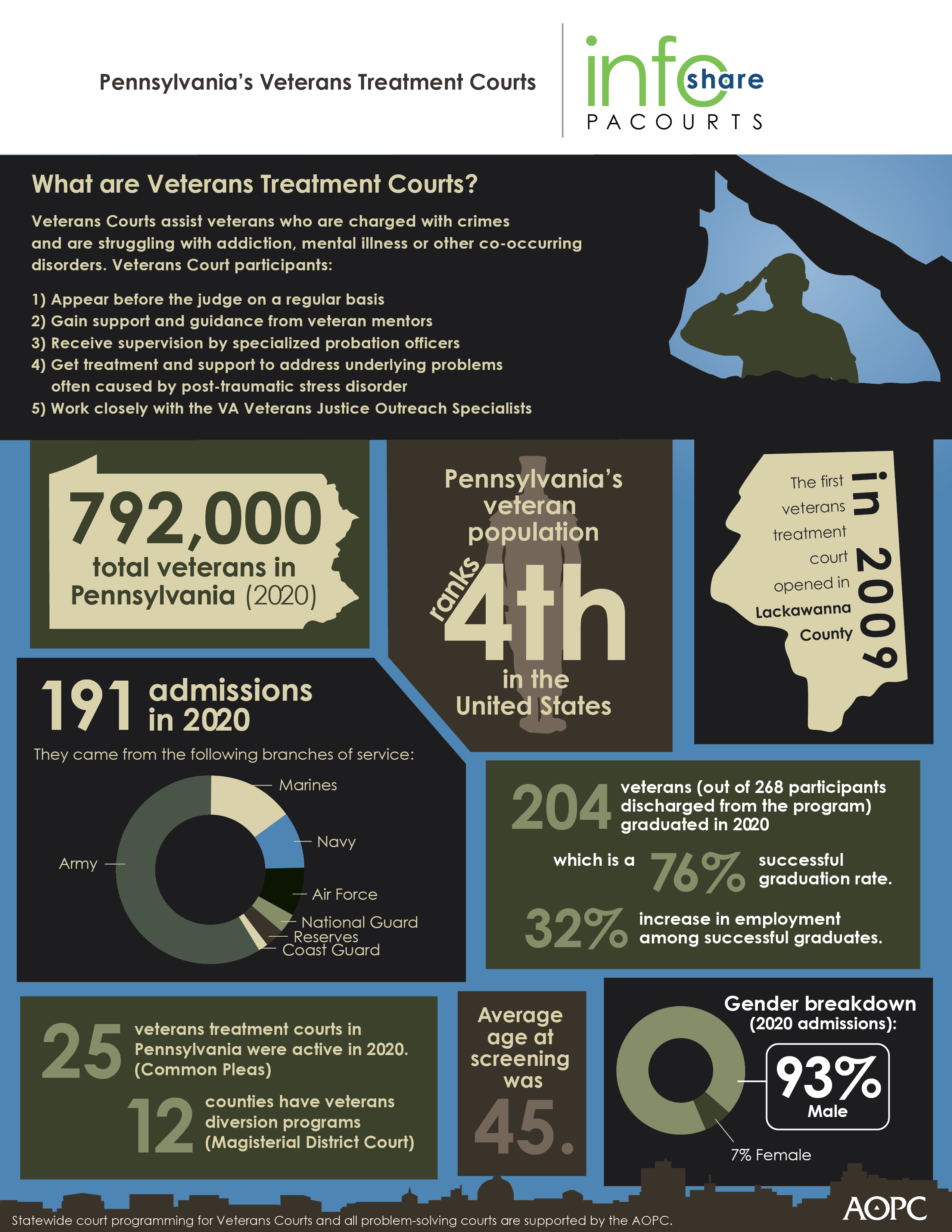 Veterans Treatment Court Infographic